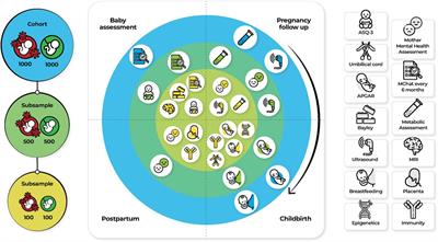 Examining the immune signatures of SARS-CoV-2 infection in pregnancy and the impact on neurodevelopment: Protocol of the SIGNATURE longitudinal study